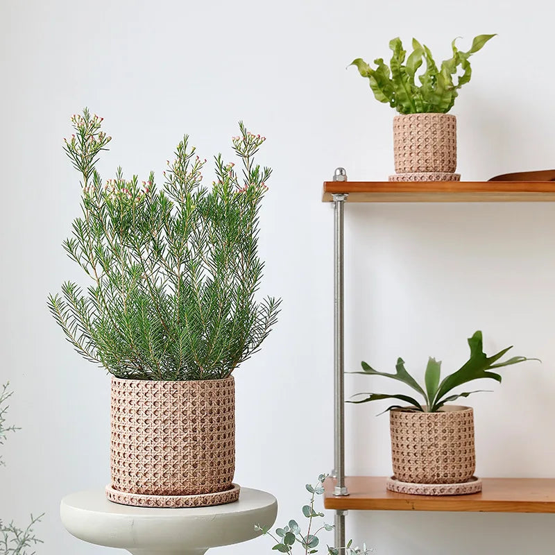 Woven Cement Flowerpot