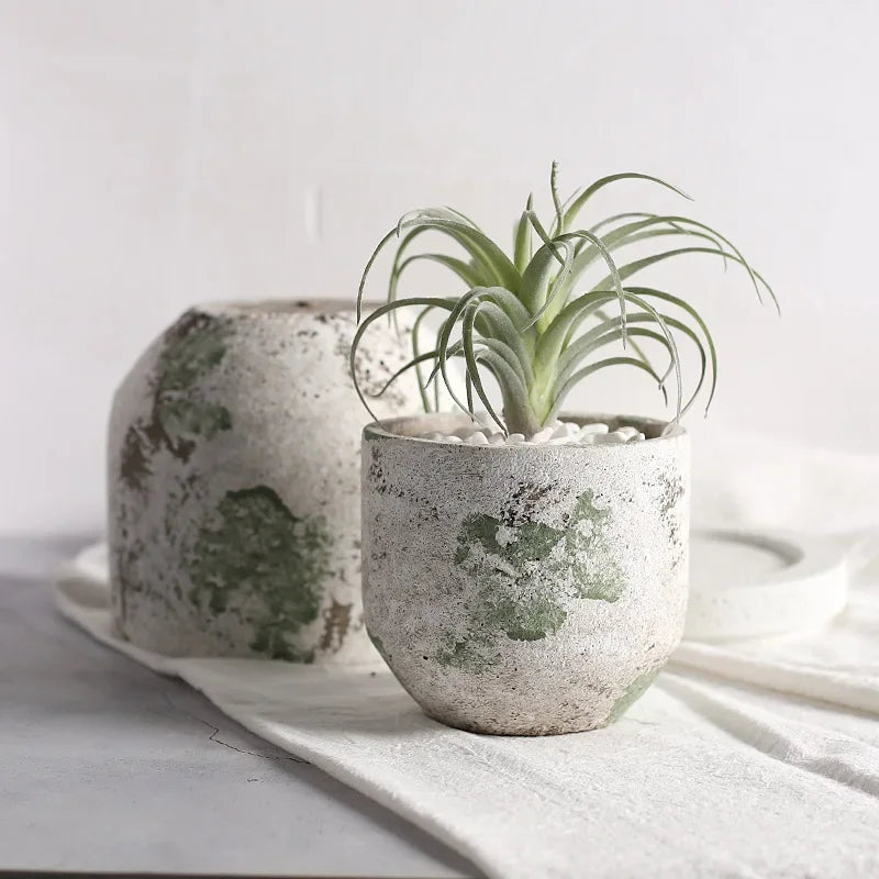 Cement Flower Pot