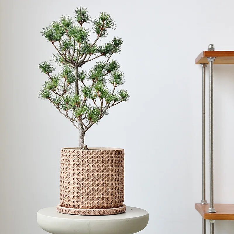 Woven Cement Flowerpot