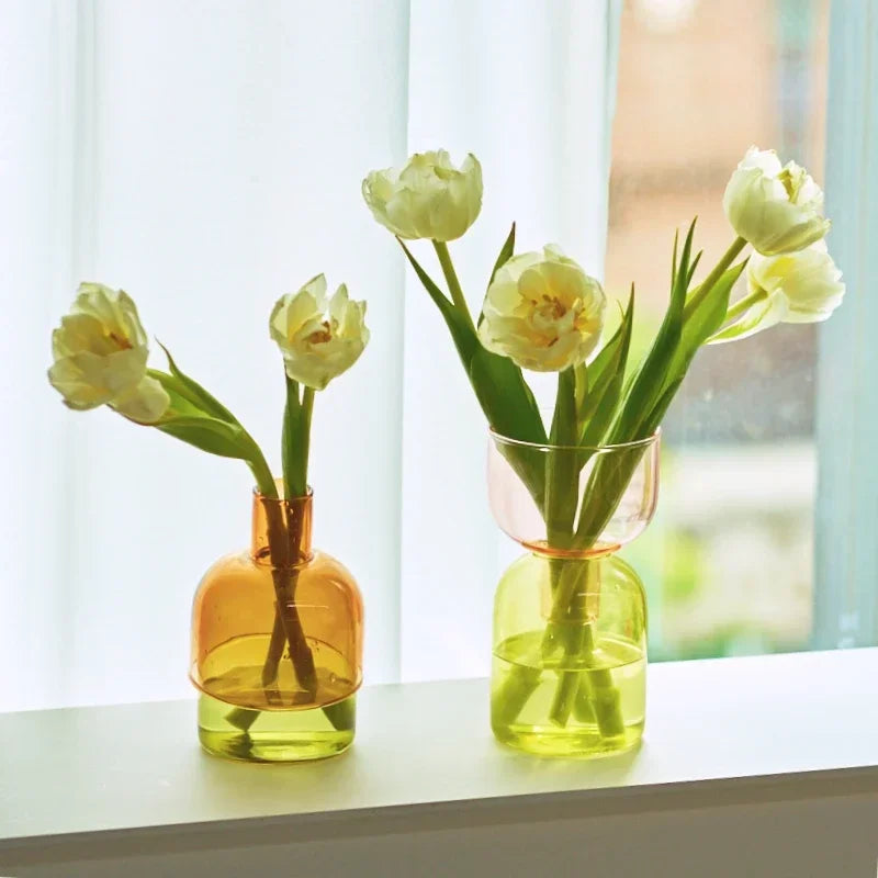 Mini Hydroponic Vase Set
