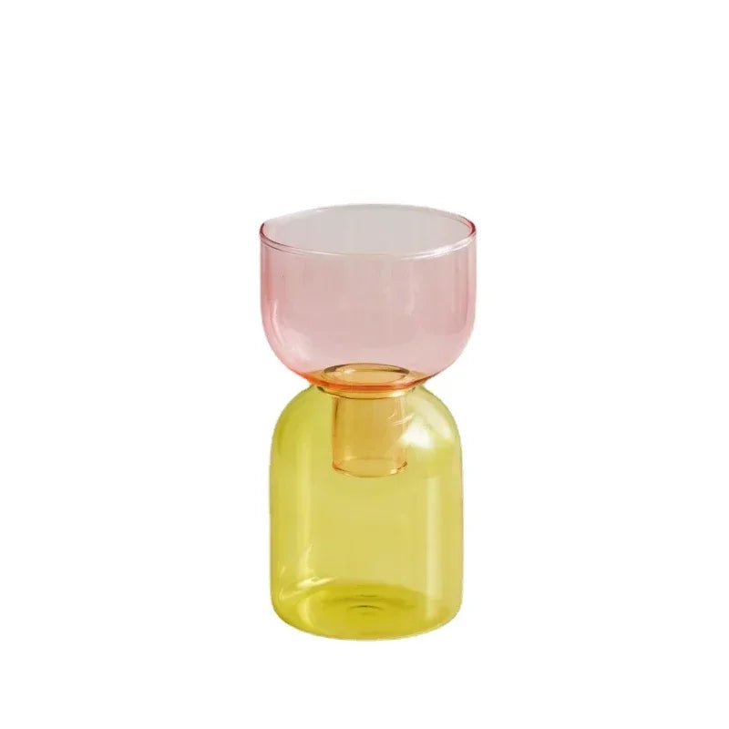 Mini Hydroponic Vase Set