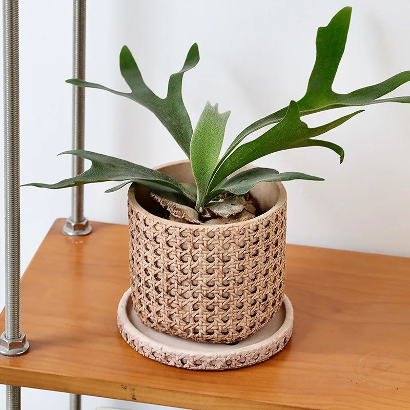 Woven Cement Flowerpot