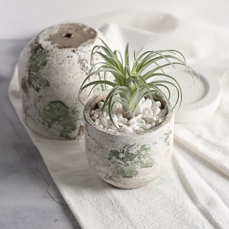 Cement Flower Pot