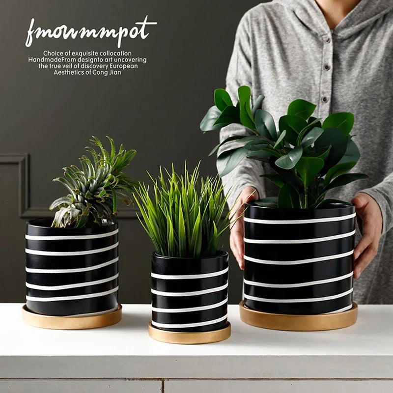 Black And White Striped Ceramic Flower Pot With Gold Tray