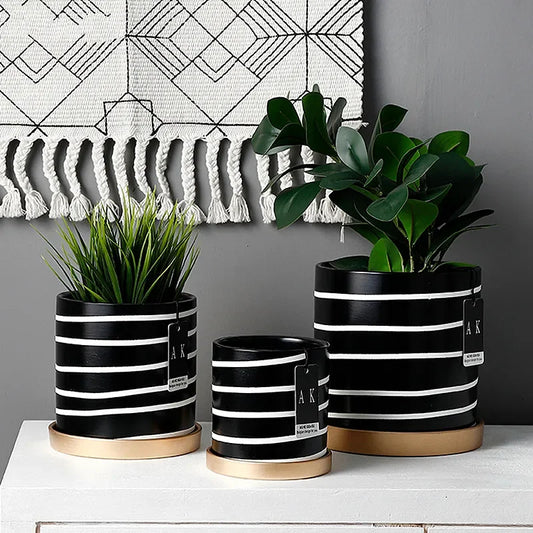 Black And White Striped Ceramic Flower Pot With Gold Tray