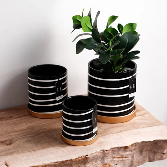 Black And White Striped Ceramic Flower Pot With Gold Tray