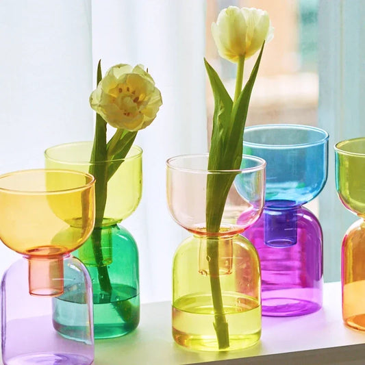 Mini Hydroponic Vase Set